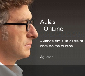 Aulas On Line